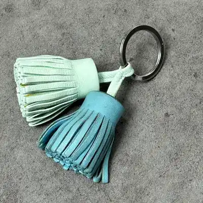 에르메스 테슬 컬러교체염색