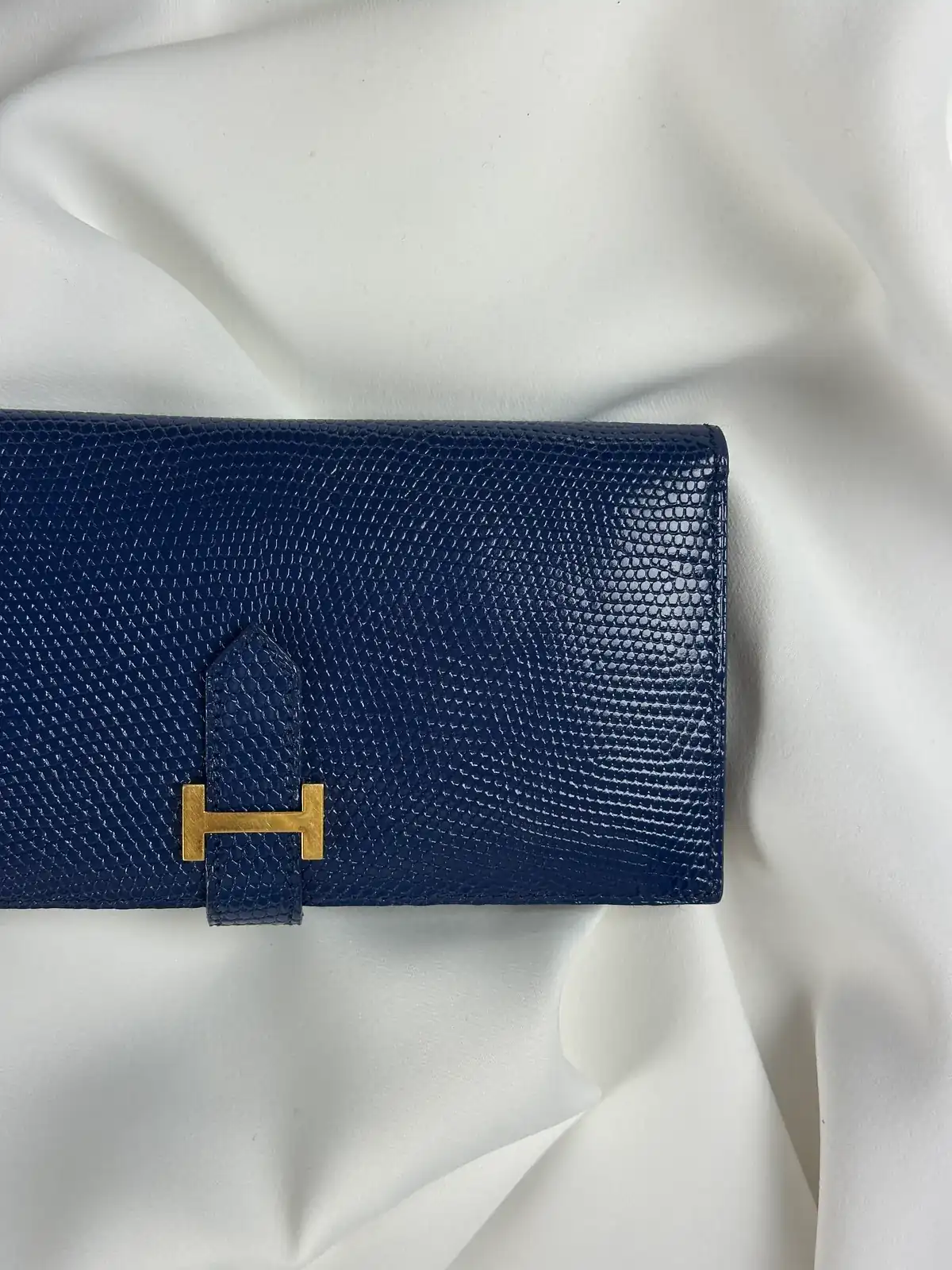 파란색 리자드 베안 [골드] after 12