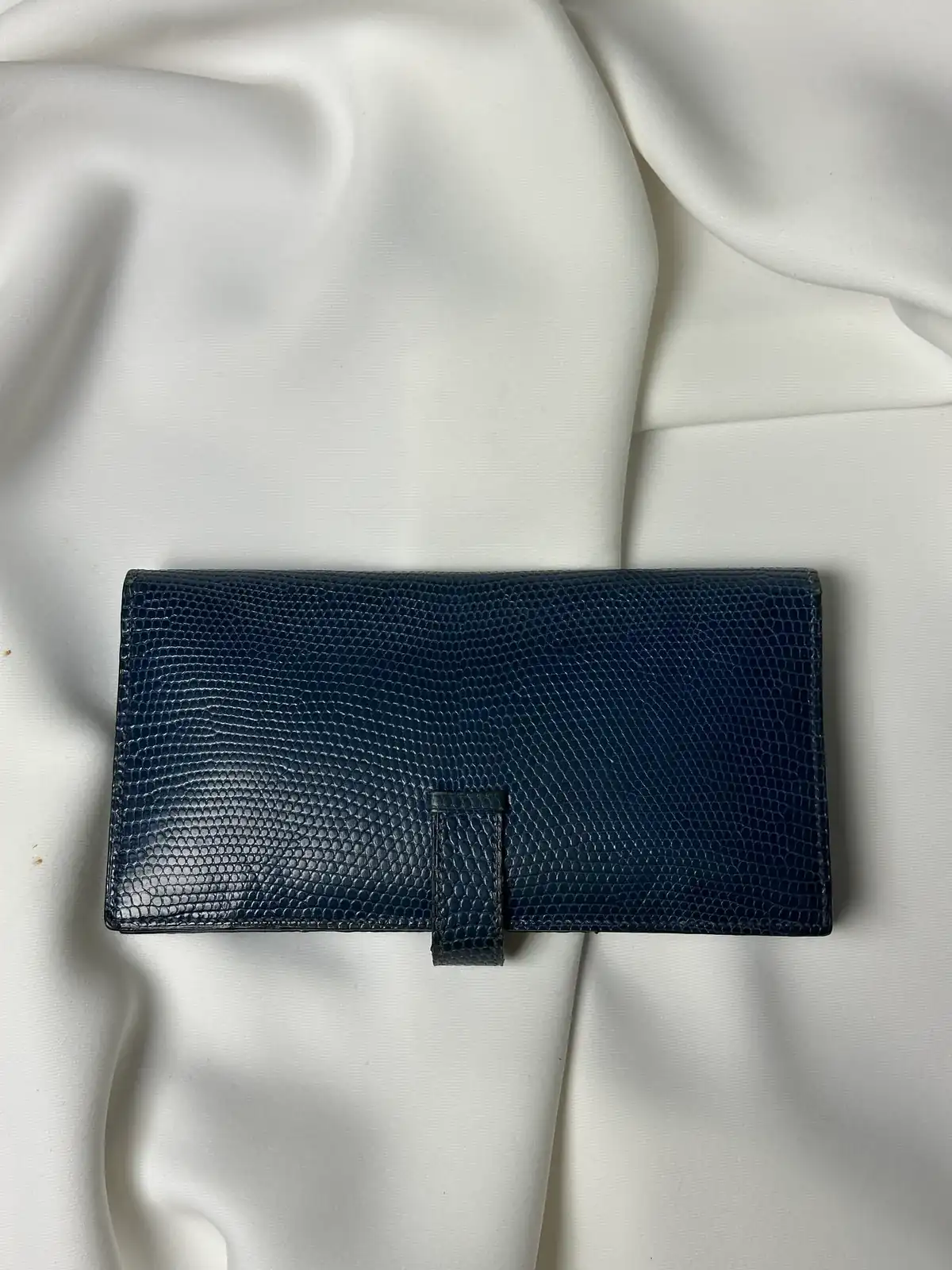 파란색 리자드 베안 [골드] before 2