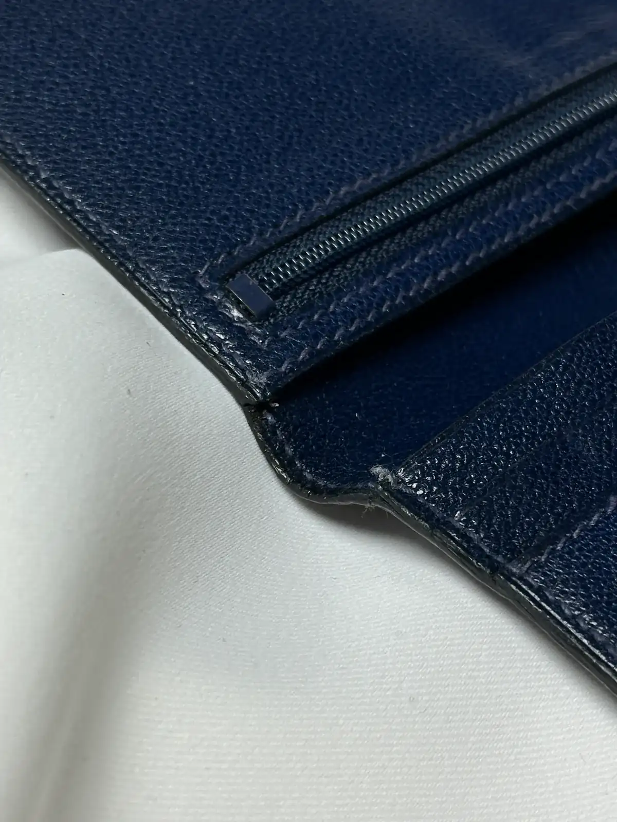 파란색 리자드 베안 [골드] before 3